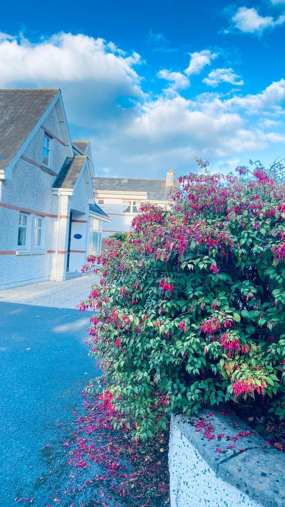 Bed and Breakfast Sonas House Kilkenny Exterior foto